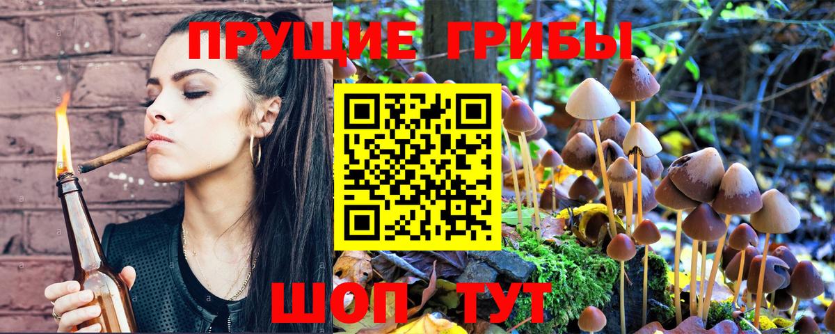 Алапаевск  Псилоцибиновые грибы MAGIC MUSHROOMS  Вход с VPN 