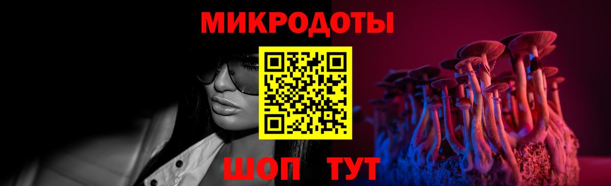 Псилоцибиновые грибы Psilocybine cubensis Алапаевск